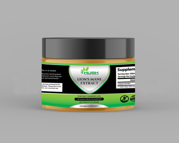 Lion's Mane Extract - 25g